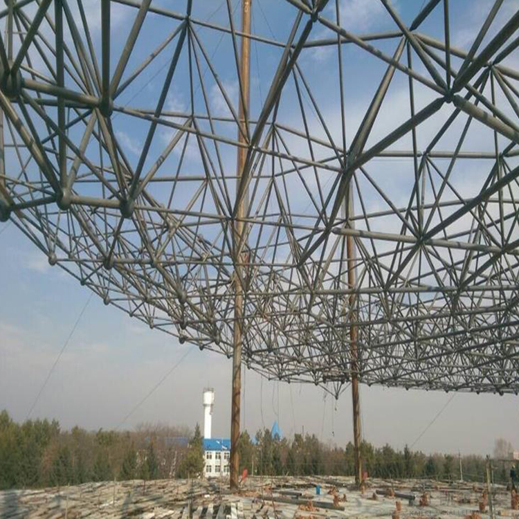 耒阳球形网架钢结构施工方案